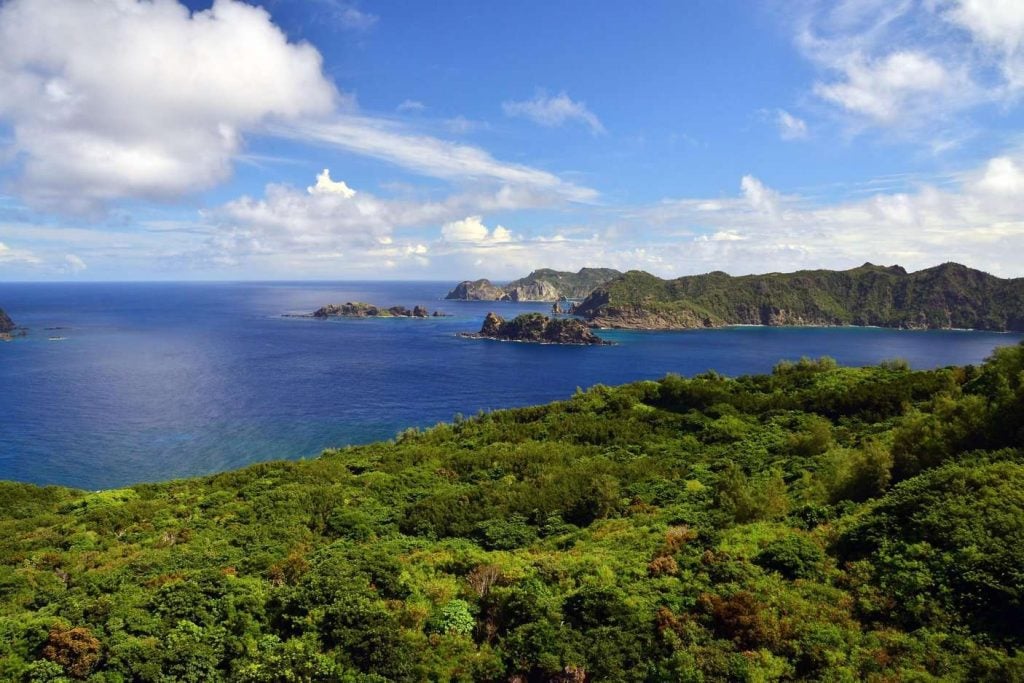 Saint Kitts and Nevis Licenses