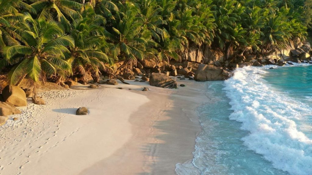Licenses in Seychelles